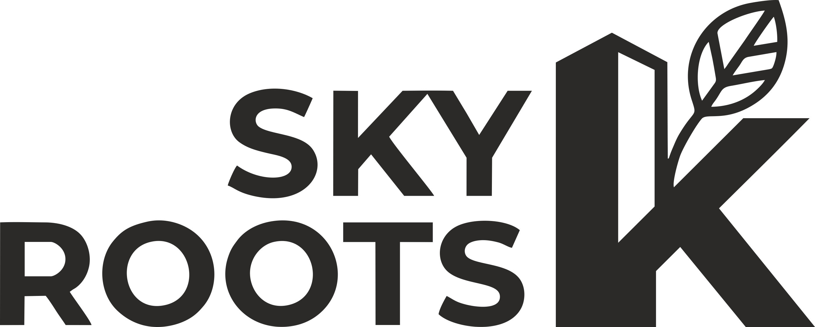Skyroots Logo