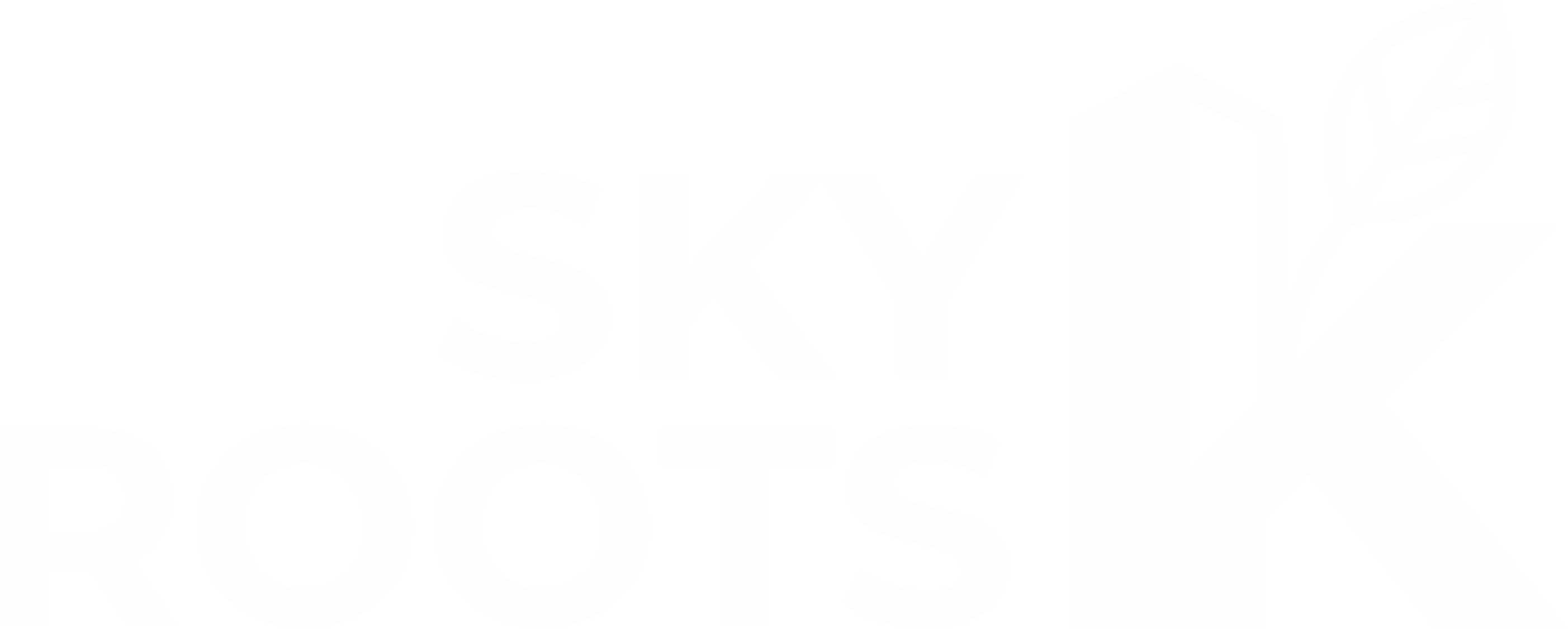 Skyroots Logo