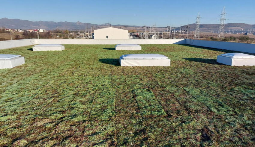 Extensive Sedum System Render